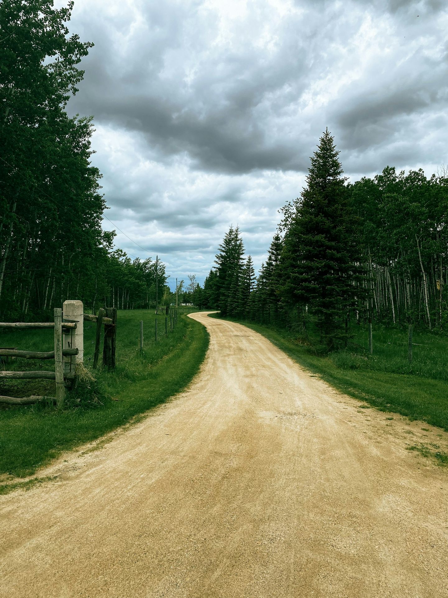 a dirt road in the middle of a forest